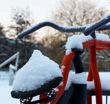 Sonnige Wintergrüße